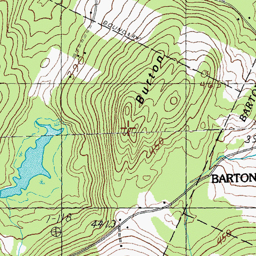 Topographic Map of Burton Hill, VT