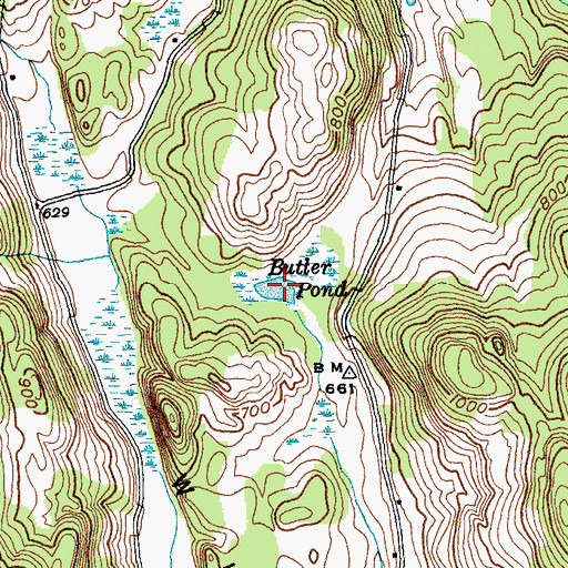 Topographic Map of Butler Pond, VT