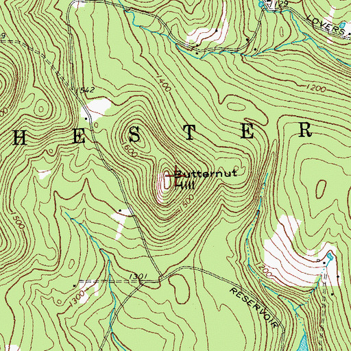 Topographic Map of Butternut Hill, VT