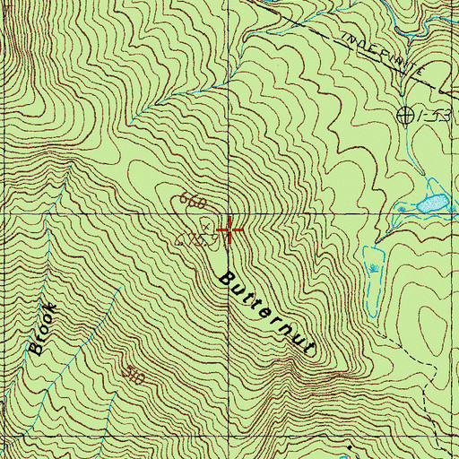 Topographic Map of Butternut Mountain, VT