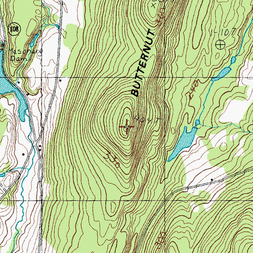 Topographic Map of Butternut Ridge, VT