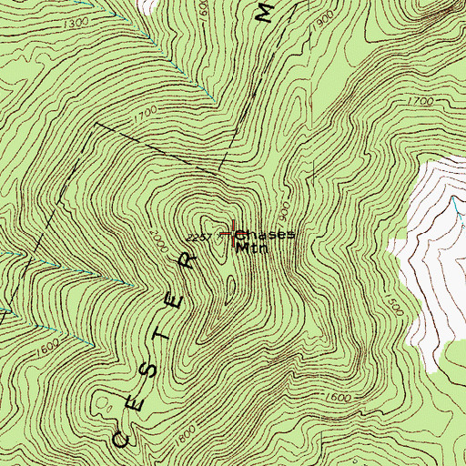 Topographic Map of Chases Mountain, VT