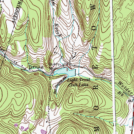 Topographic Map of Cunningham Brook, VT