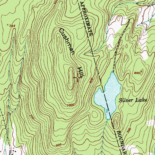 Topographic Map of Cushman Hill, VT