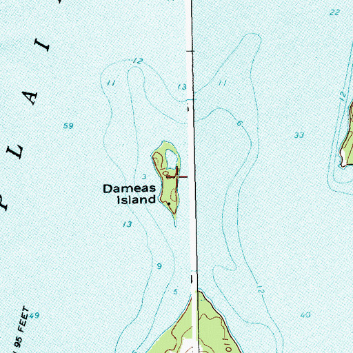 Topographic Map of Dameas Island, VT