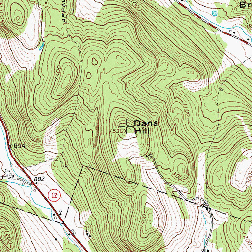 Topographic Map of Dana Hill, VT