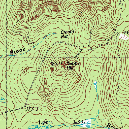 Topographic Map of Debby Hill, VT