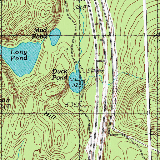 Topographic Map of Duck Pond, VT