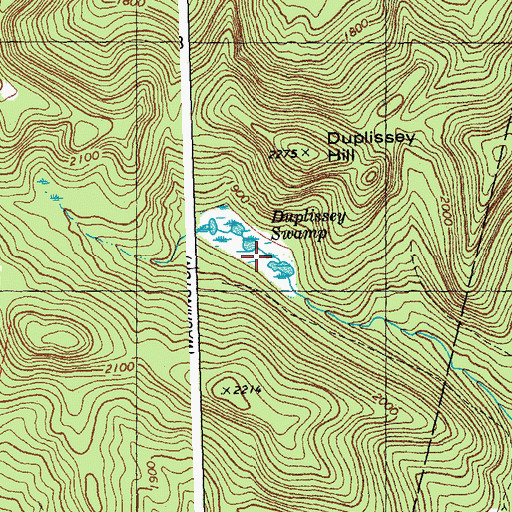 Topographic Map of Duplissey Swamp, VT