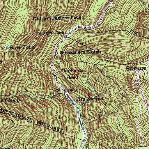 Topographic Map of Elephants Head, VT