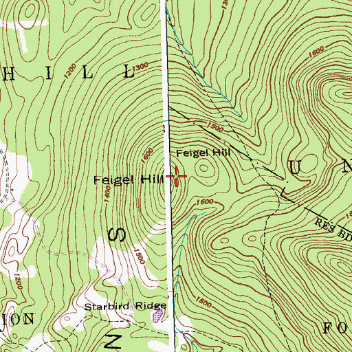 Topographic Map of Feigel Hill, VT
