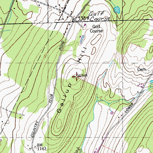 Topographic Map of Gallup Hill, VT