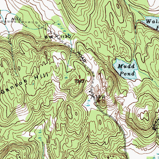 Topographic Map of Ganson Hill, VT