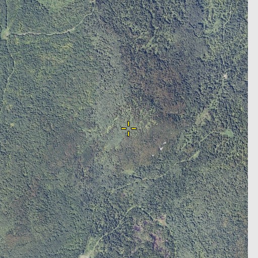 Aerial/Satellite Image of Goodwin Mountain, VT