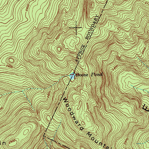 Topographic Map of Goose Pond, VT