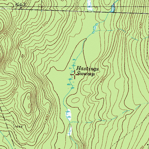 Topographic Map of Hastings Swamp, VT