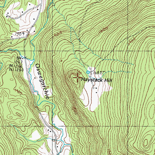 Topographic Map of Haystack Hill, VT