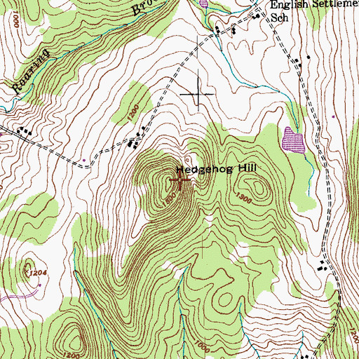Topographic Map of Hedgehog Hill, VT