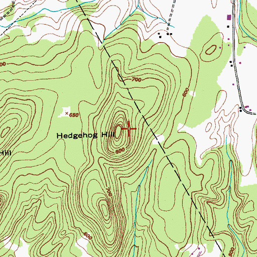 Topographic Map of Hedgehog Hill, VT
