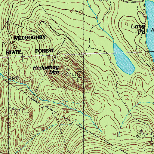 Topographic Map of Hedgehog Mountain, VT