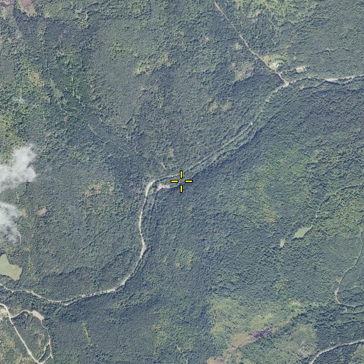 Aerial/Satellite Image of Jacobs Chopping Brook, VT