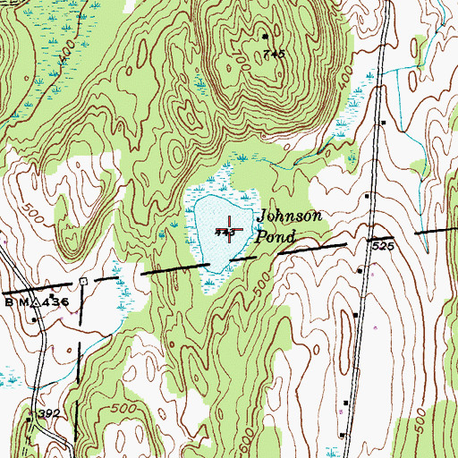 Topographic Map of Johnson Pond, VT