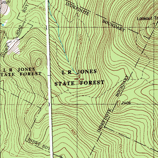 Topographic Map of L R Jones State Forest, VT