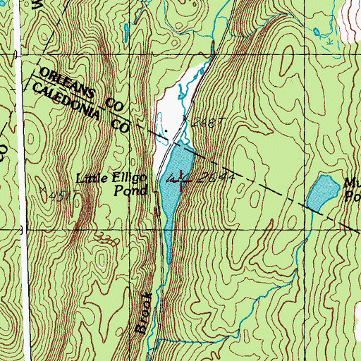 Topographic Map of Little Elligo Pond, VT