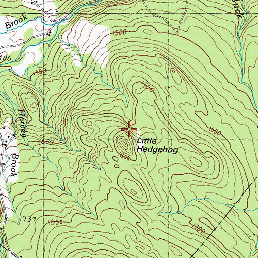 Topographic Map of Little Hedgehog, VT