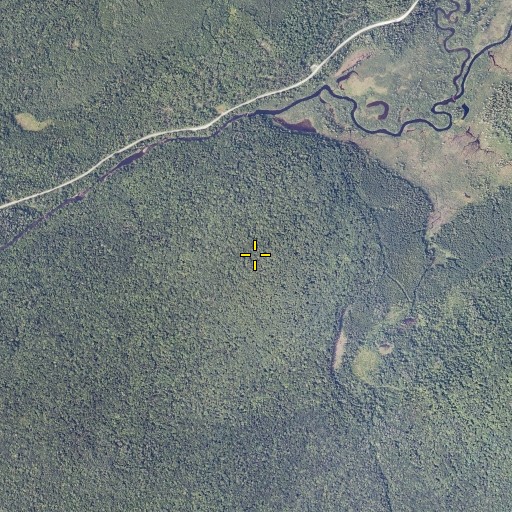 Aerial/Satellite Image of Mitchell Knoll, VT