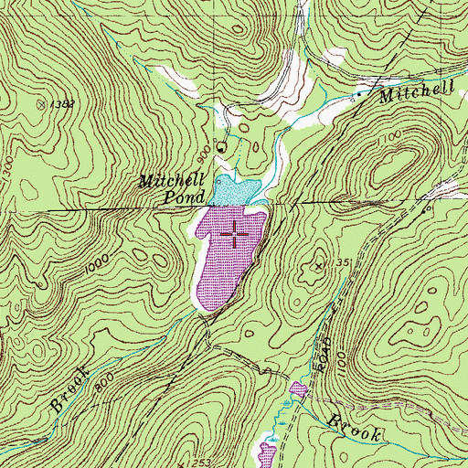 Topographic Map of Mitchell Pond, VT