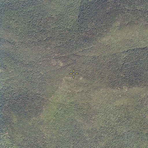 Aerial/Satellite Image of Monadnock Mountain, VT