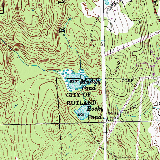Topographic Map of Muddy Pond, VT