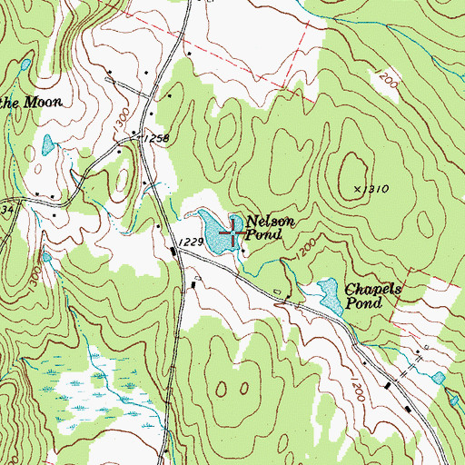 Topographic Map of Nelson Pond, VT