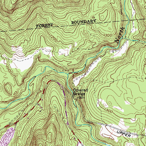 Topographic Map of North Branch Cold River, VT