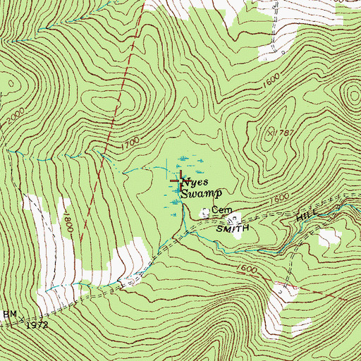 Topographic Map of Nyes Swamp, VT