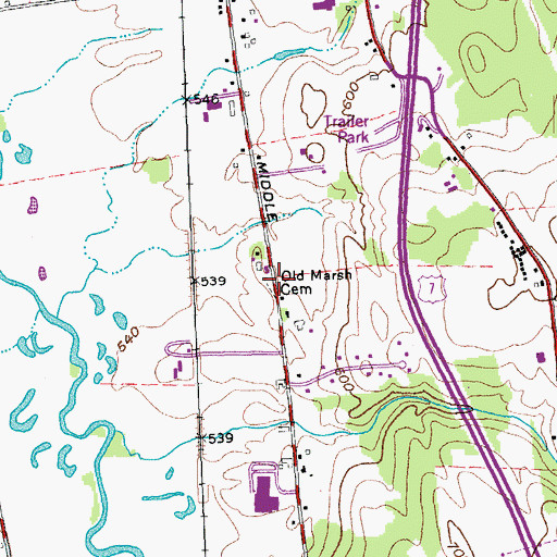 Topographic Map of Old Marsh Cemetery, VT