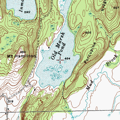 Topographic Map of Old Marsh Pond, VT