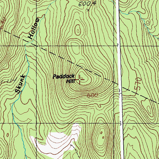 Topographic Map of Paddock Hill, VT