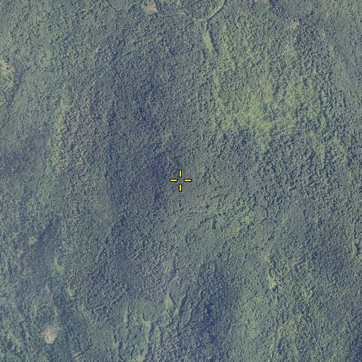 Aerial/Satellite Image of Paddock Hill, VT