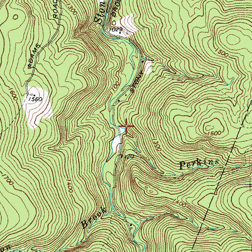 Topographic Map of Perkins Brook, VT