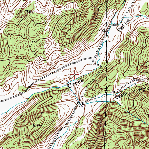 Topographic Map of Perkins Hollow, NY