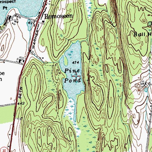 Topographic Map of Pine Pond, VT