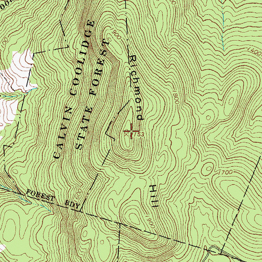 Topographic Map of Richmond Hill, VT