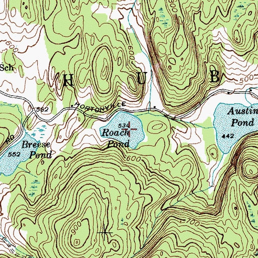 Topographic Map of Roach Pond, VT
