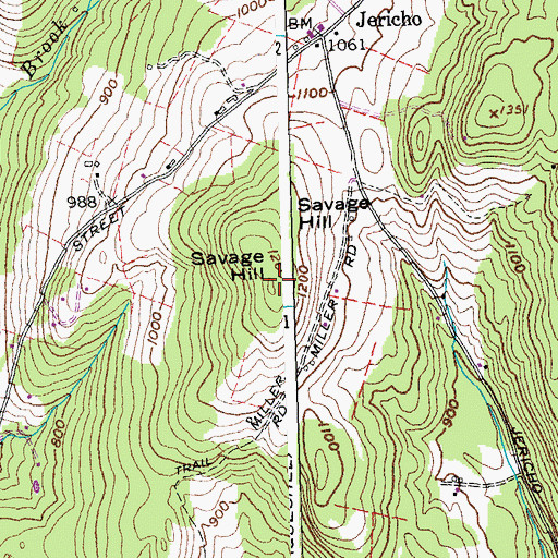 Topographic Map of Savage Hill, VT