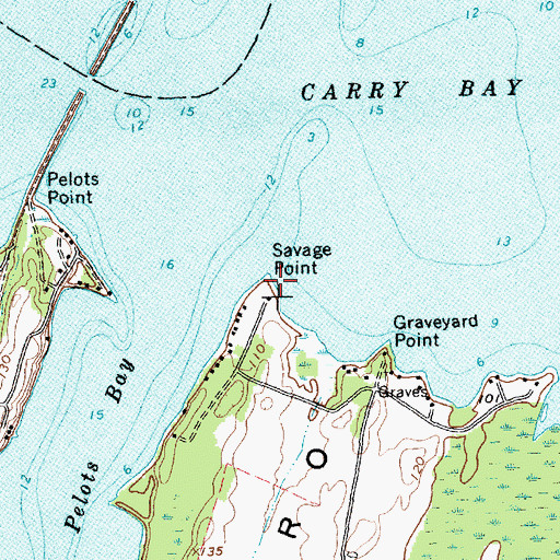 Topographic Map of Savage Point, VT