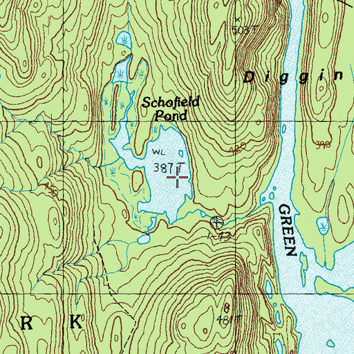 Topographic Map of Schofield Pond, VT