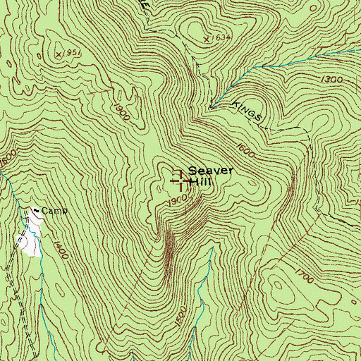 Topographic Map of Seaver Hill, VT
