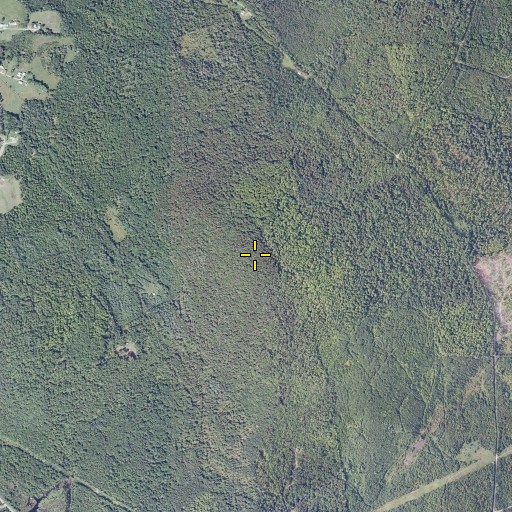 Aerial/Satellite Image of Shaw Mountain, VT